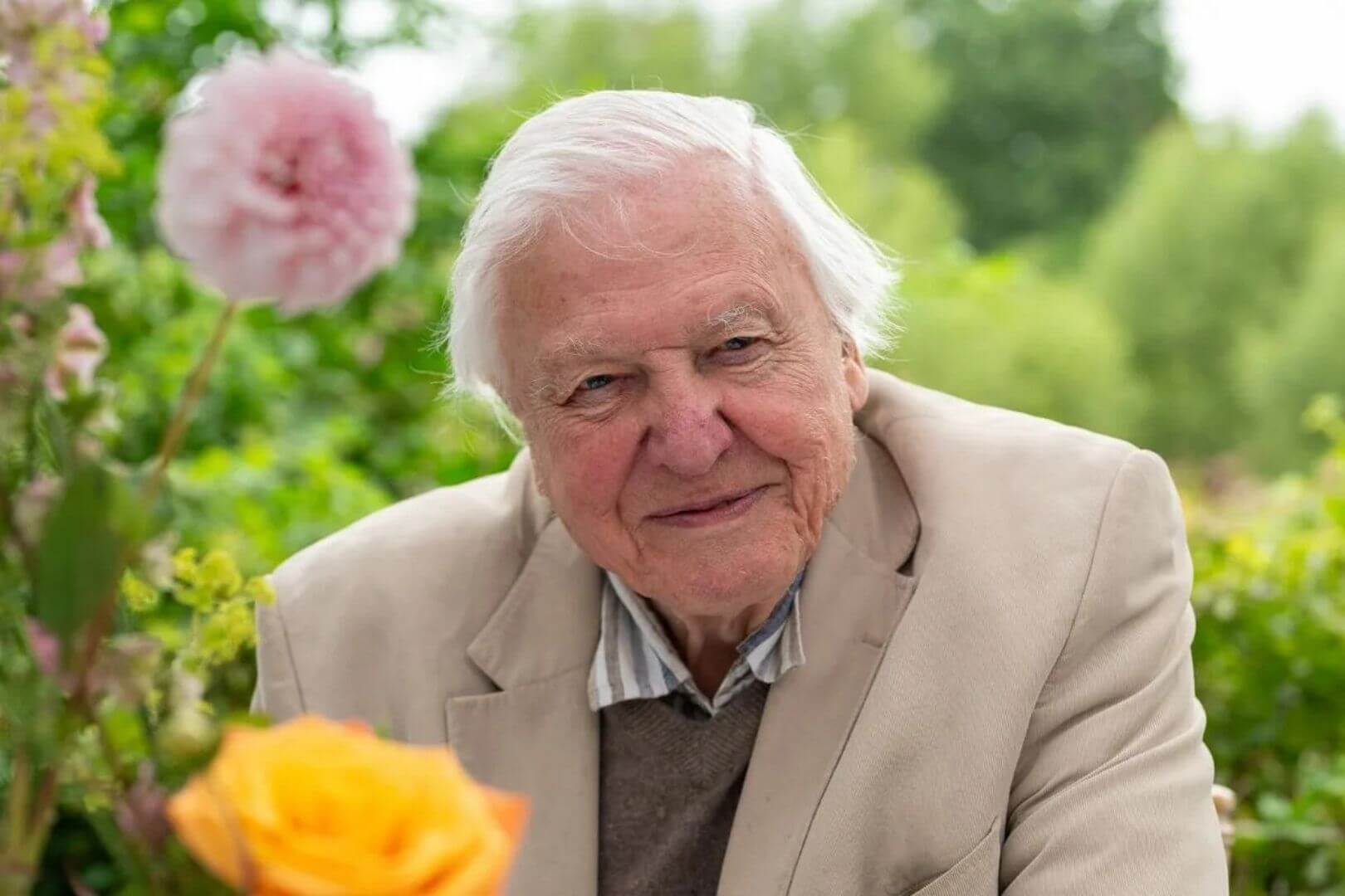 David Attenborough
